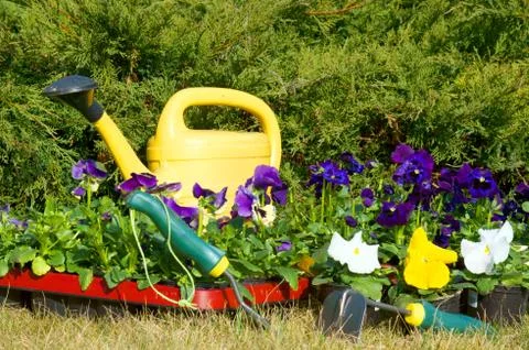 Garden time Foto stock