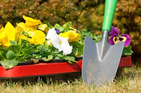 Garden time Stock Photos