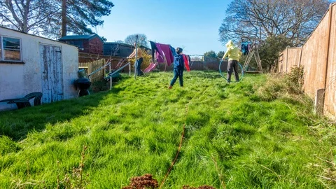 Garden timelapse Stock Footage 127037012