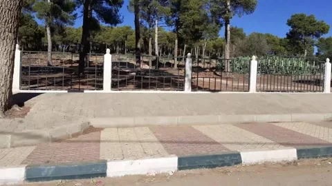 Garden of Tlemcen Algeria Stock Footage 130362374