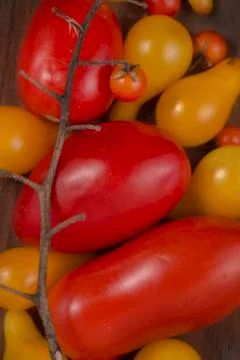 Garden tomatoes background Stock Photos