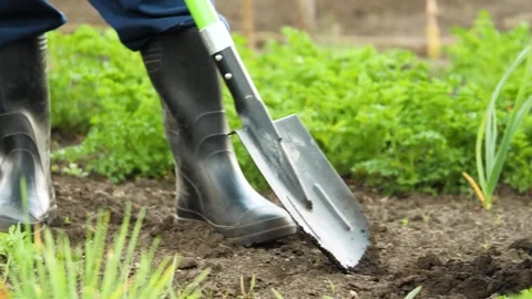 Garden tool digging, soil preparation gardening, planting season outdoor Stock Footage 276885105