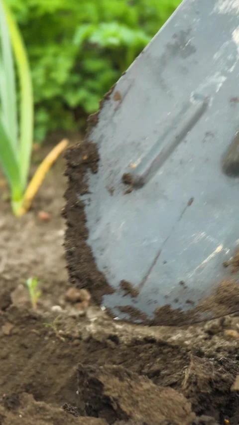 Garden tool digging, soil preparation gardening, planting season outdoor Stock Footage 280970412