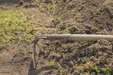 Garden tool lying on the ground Stock Photos