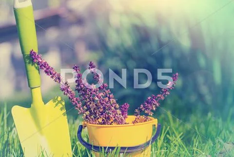 Garden tool Stock Photos