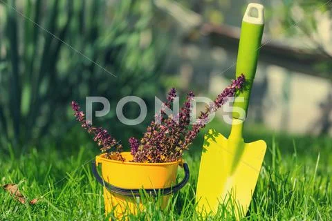 Garden tool Stock Photos