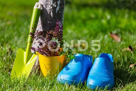 Garden tool Stock Photos