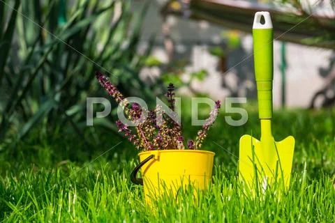 Garden tool Stock Photos