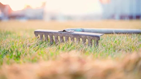 Garden tool rake lying on the lawn after winter, close-up. Smooth camera Stock Footage 306587089