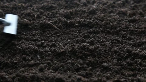 Garden Tool Raking Across Dark Prepared Soil Closeup Stock Footage 339639445