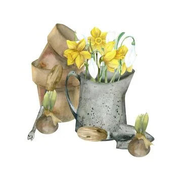Garden tools and flowers composition with yellow daffodils, ceramic brown f.. Stock Illustration