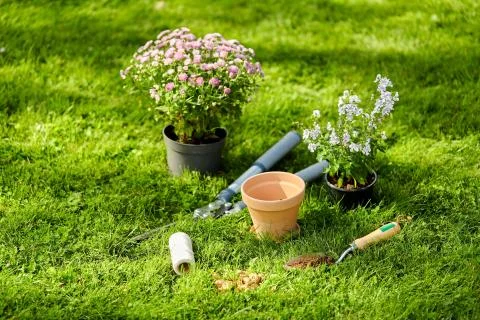 Garden tools and flowers on grass at summer Stock Photos