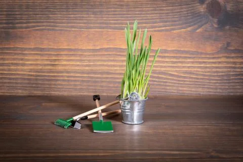 Garden tools and spring grass in metal bucket. Investment plan, economy, growth Stock Photos