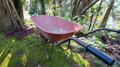Garden Tools And Wheelbarrow In Shade Vídeo Stock 344875320
