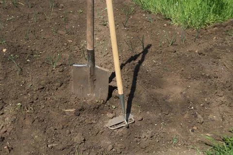 Garden tools are on the ground Stock Photos