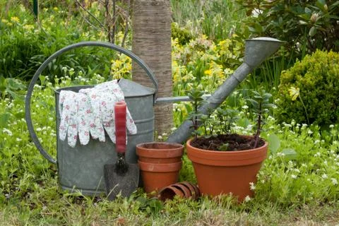 Garden tools Foto stock