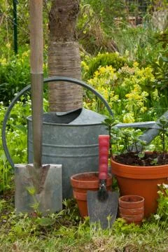Garden tools Stock Photos