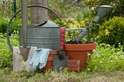 Garden tools Stock Photos