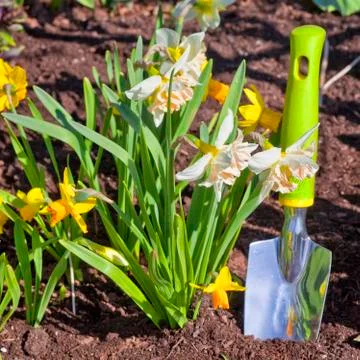 Garden tools Stock Photos