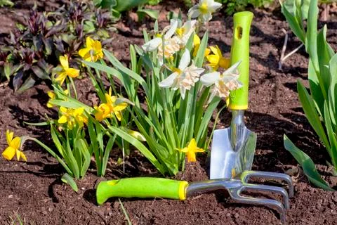 Garden tools Stock Photos