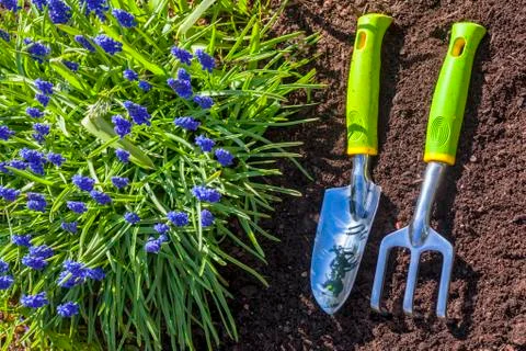 Garden tools Stock Photos
