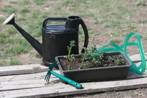 Garden tools Stock Photos
