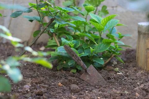 Garden tools Stock-Fotos