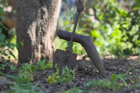 Garden tools Stock-Fotos