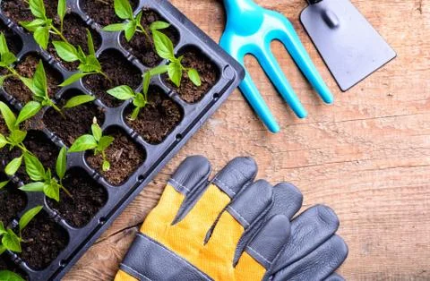 Garden tools Stock Photos