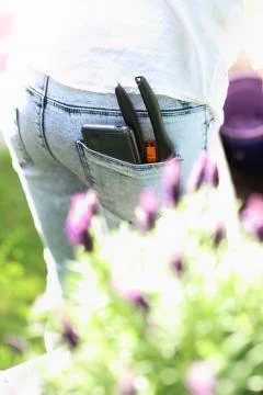 Garden tools. Stock Photos