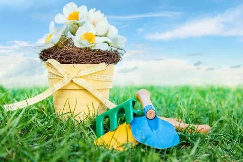 Garden tools Stock Photos