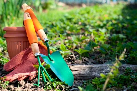 Garden tools Stock Photos