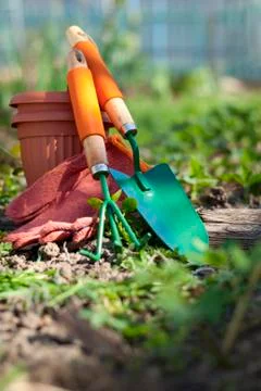 Garden tools Stock Photos
