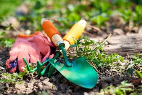 Garden tools Stock Photos