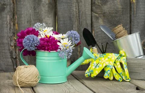 Garden tools Foto stock