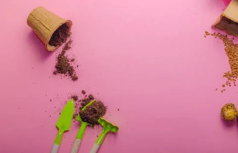 Garden tools on pink background Foto stock
