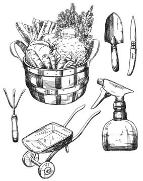 Garden tools set, hand drawn illustrations, vector Stock Illustration