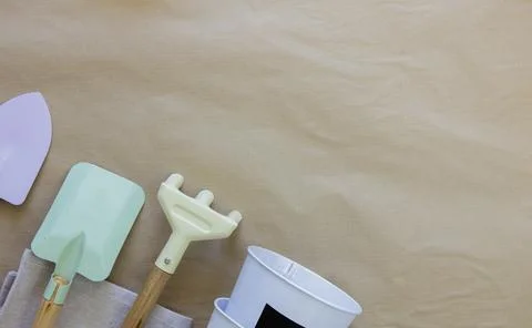 Garden tools on the table. Copy space. Preparation for sowing seeds. Foto stock