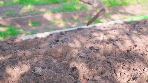 Garden tools used to plow the soil of a garden bed, close-up Stock Footage 313171338