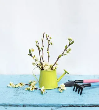 Garden tools in a vase with spring flowers on a light background. Stock Photos