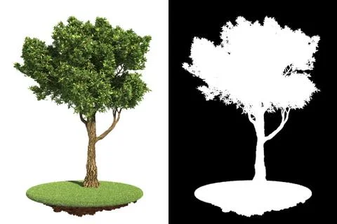 Garden Tree Isolated on White Background. Stock Illustration