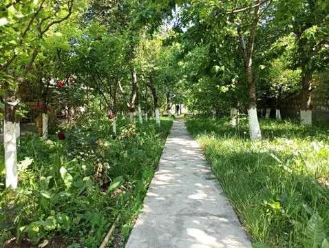 Garden with trees and path 스톡 사진