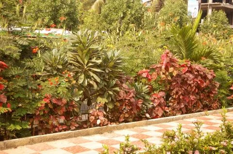 Garden with trees Stock Photos