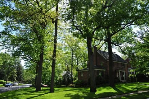 Garden with trees in spring Stock Photos