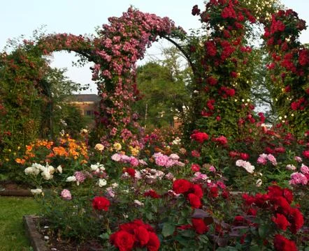 Garden with trellis Stock Photos