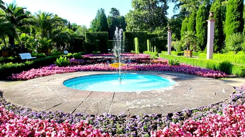 Garden tropical HD Video stock 30363727