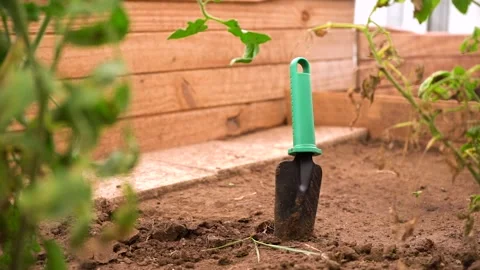 Garden Trowel In The Soil At The Garden Plot. Planting Tools Concept. Stock Footage 164819091