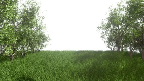 Garden tunnel Background Stock-Footage 304238505