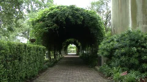 Garden Tunnel Video stock 10899539
