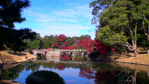 The Garden of the Underworld Stock Footage 332412606